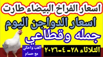 عاجل: أسعار الدواجن اليوم قبل العيد.. كم تبلغ الأرقام الصادمة التي تخفيها الأسواق؟